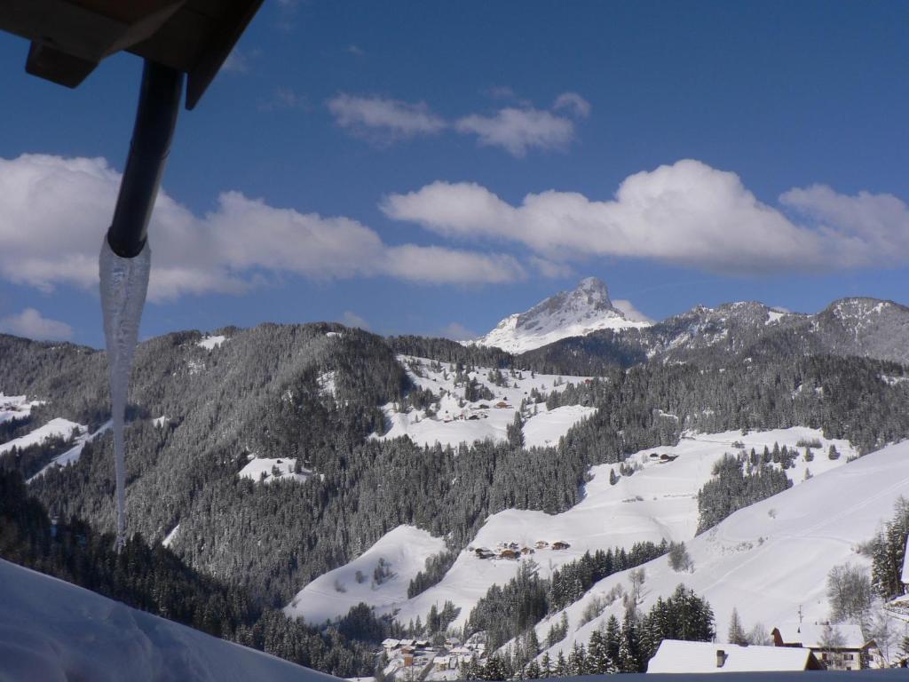 Hotel Alpenrose Dolomites La Valle Quarto foto